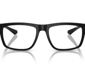 EMPORIO ARMANI  EA4235 50011W