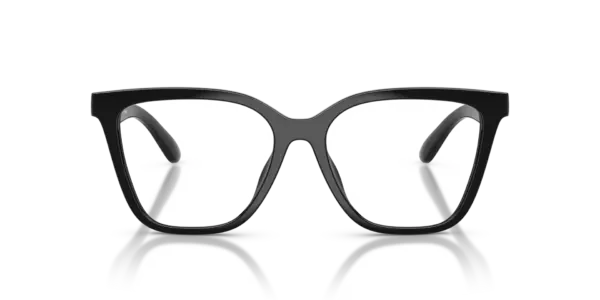 EMPORIO ARMANI  EA4254U 50171W