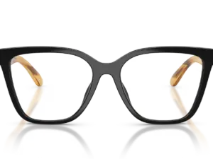 EMPORIO ARMANI  EA4254U 62691W