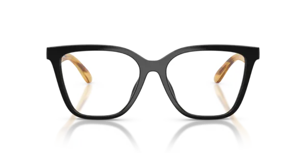 EMPORIO ARMANI  EA4254U 62691W