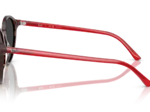 RAY-BAN BERNARD RB2230 141948