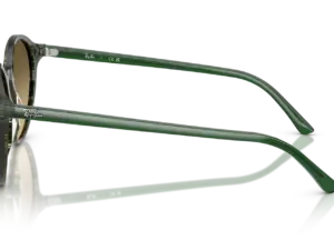 RAY-BAN BERNARD RB2230 14210A