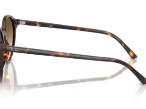 RAY-BAN BERNARD RB2230 902/51