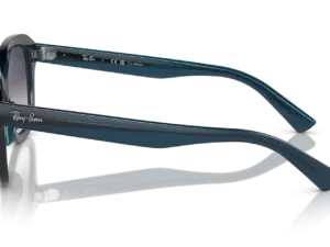 RAY-BAN ERIK RB4398 667678