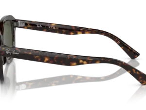 RAY-BAN ERIK RB4398 902/31