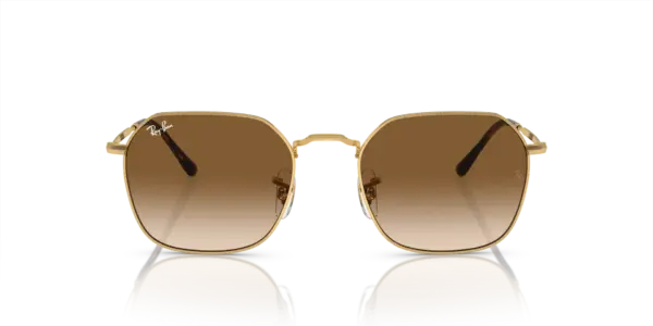 RAY-BAN JIM RB3694 001/51