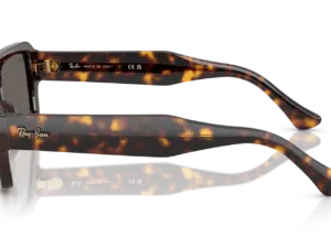 RAY-BAN LUKAS RB4454 1359B1