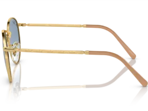 RAY-BAN NEW ROUND RB3637 001/3F