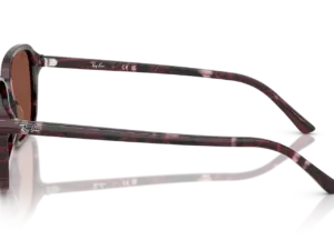 RAY-BAN RAIMOND RB2231 1416C5