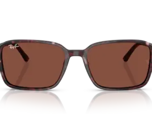 RAY-BAN RAIMOND RB2231 1416C5