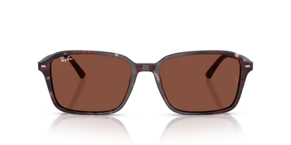 RAY-BAN RAIMOND RB2231 1416C5