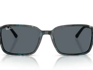 RAY-BAN RAIMOND RB2231 1417R5