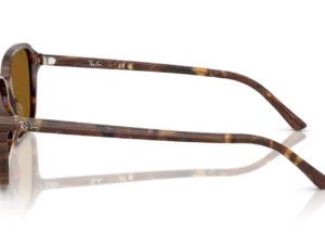 RAY-BAN RAIMOND RB2231 141833