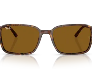 RAY-BAN RAIMOND RB2231 141833