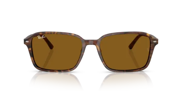 RAY-BAN RAIMOND RB2231 141833
