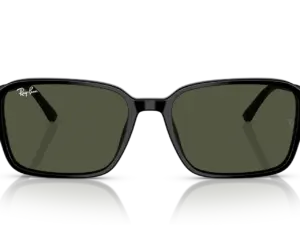 RAY-BAN RAIMOND RB2231 901/31