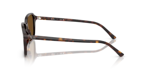 RAY-BAN RAIMOND RB2231 902/57 - Imagen 2