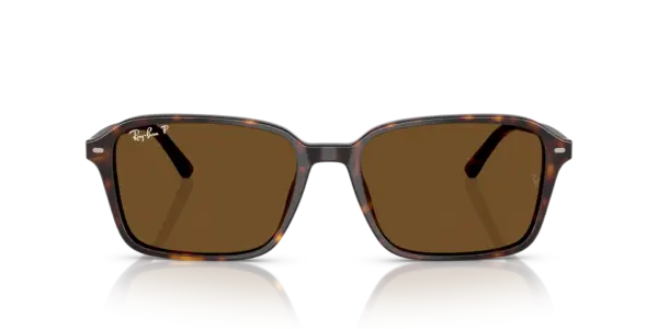 RAY-BAN RAIMOND RB2231 902/57