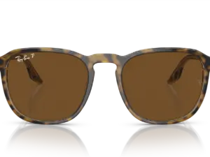 RAY-BAN  RB2203 139357