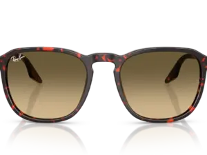 RAY-BAN  RB2203 14290A