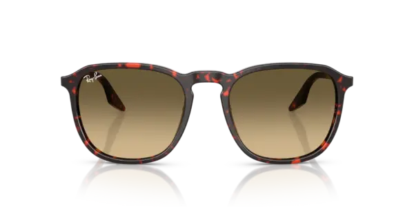 RAY-BAN  RB2203 14290A