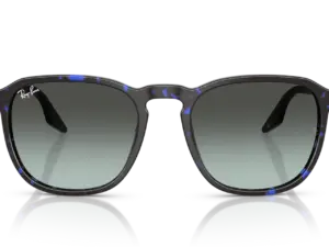 RAY-BAN  RB2203 1430GK