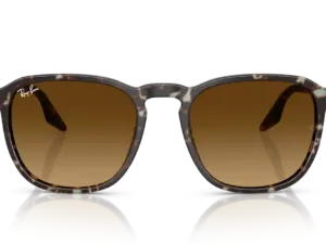 RAY-BAN  RB2203 143185