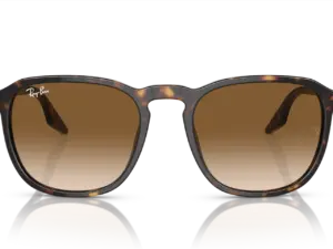 RAY-BAN  RB2203 902/51
