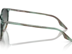 RAY-BAN RB2204 1394GK