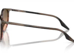 RAY-BAN RB2204 13953B