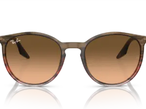 RAY-BAN  RB2204 13953B