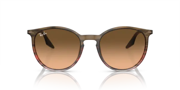 RAY-BAN  RB2204 13953B