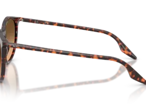 RAY-BAN RB2204 14293B