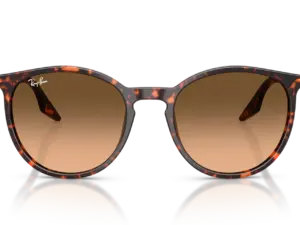 RAY-BAN  RB2204 14293B