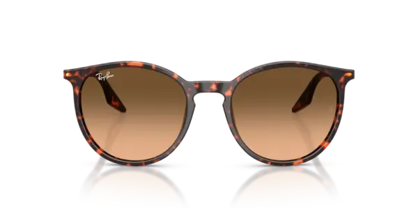 RAY-BAN  RB2204 14293B