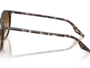 RAY-BAN RB2204 143151