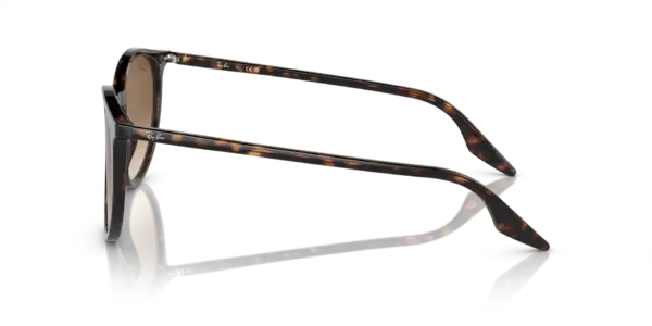 RAY-BAN  RB2204 902/51 - Imagen 2