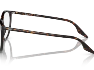 RAY-BAN RB2204 902/GJ