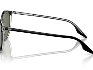 RAY-BAN RB2204 919/58