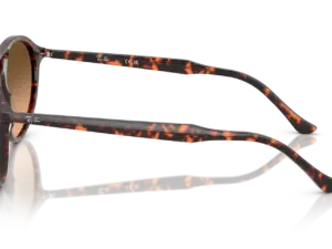 RAY-BAN RB2215 14293B