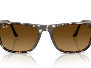 RAY-BAN  RB2216 143185