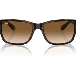 RAY-BAN  RB4388 710/51