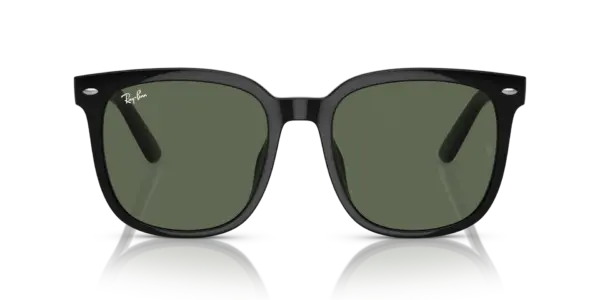RAY-BAN  RB4401D 601/71