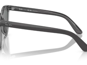 RAY-BAN RB4401D 659981