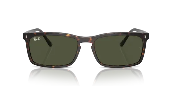 RAY-BAN  RB4435 902/31