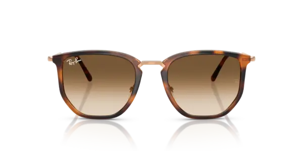 RAY-BAN  RB4451 680451