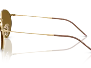RAY-BAN ROUND REVERSE RBR0103S 001/83