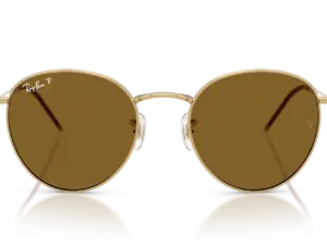 RAY-BAN ROUND REVERSE RBR0103S 001/83