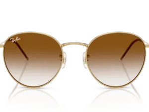 RAY-BAN ROUND REVERSE RBR0103S 001/CB