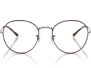 RAY-BAN VISTA DAVID RX3582V 3174